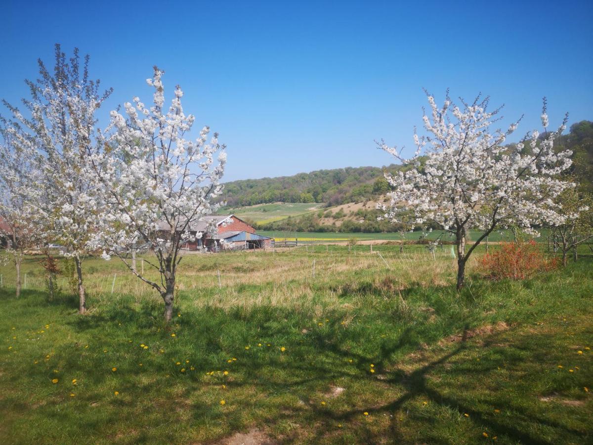 Nature Monchy Campneuseville Eksteriør bilde