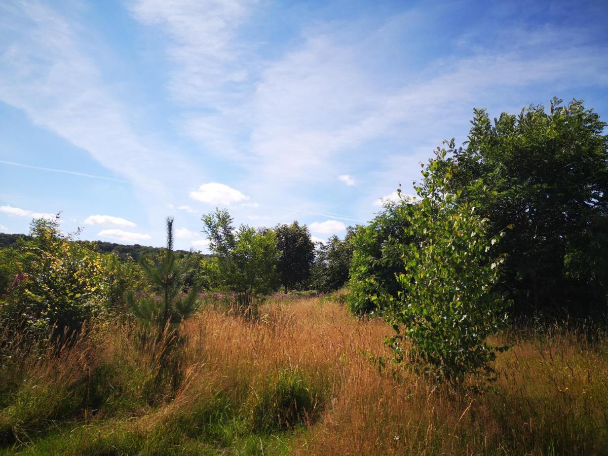 Nature Monchy Campneuseville Eksteriør bilde